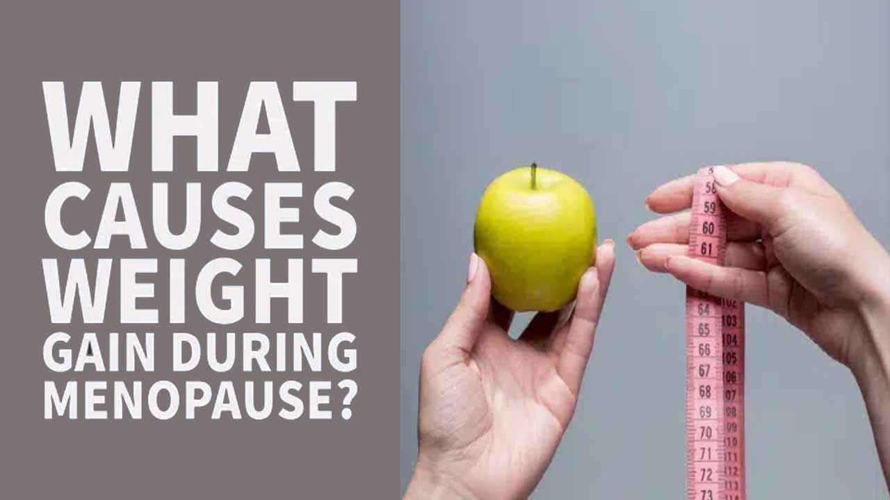Menopause Weight Gain Isn't Inevitable: The Science Behind the 10-Pound Average