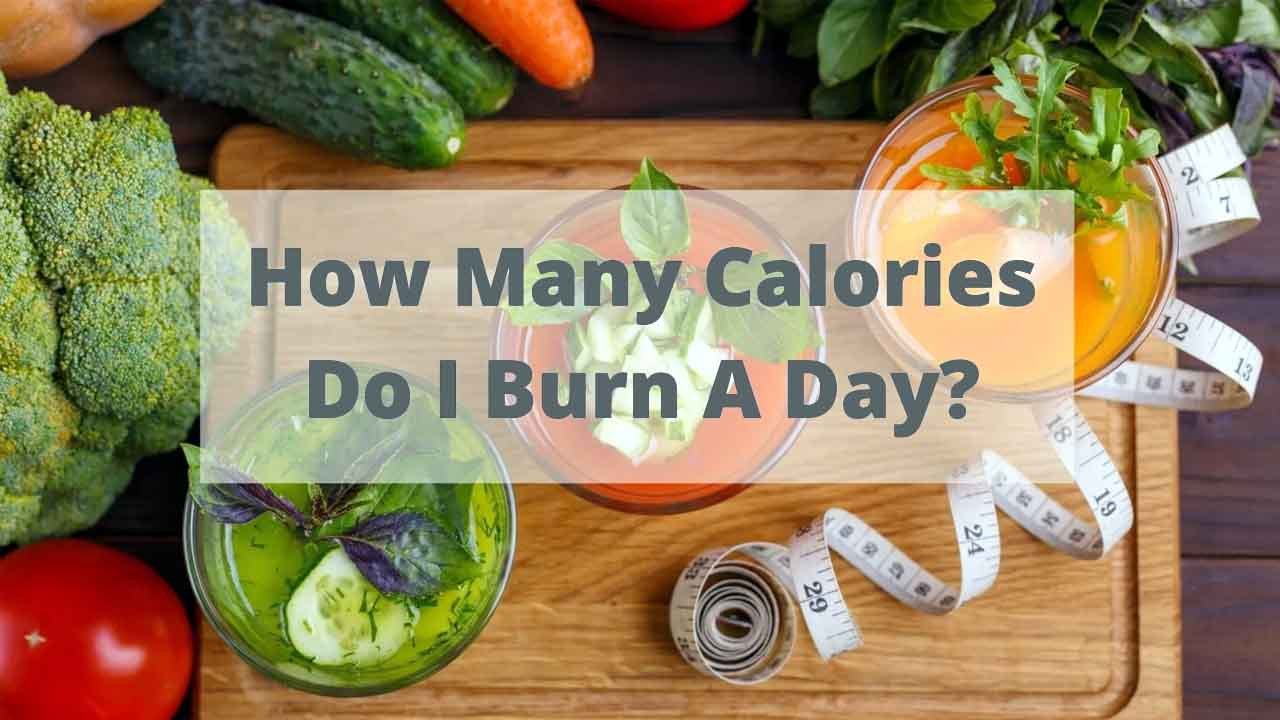 how many calories you burn daily