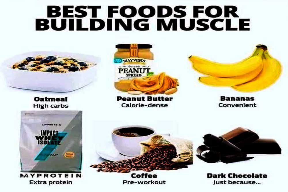 Best high protein diet