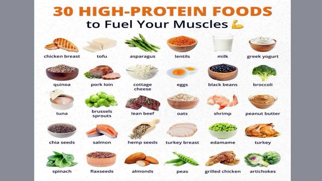 high protein diet for muscle building