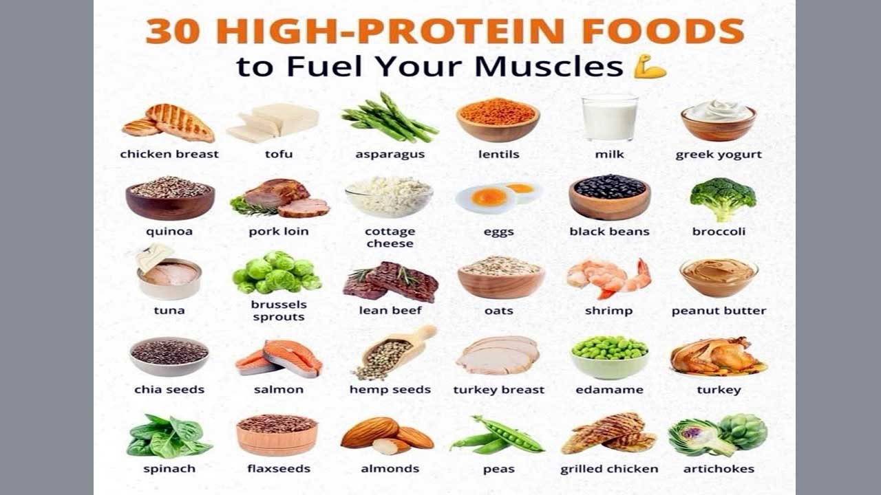 high protein diet for muscle building
