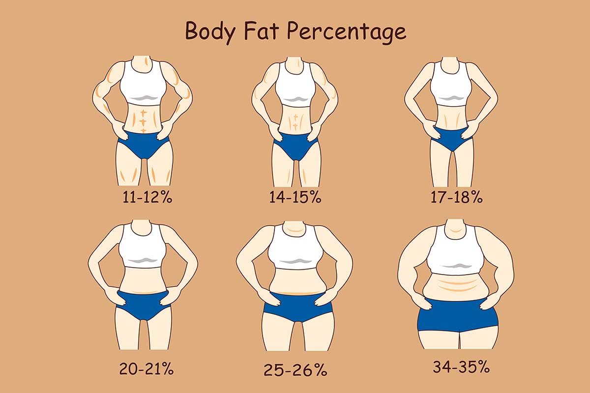 How to find out body fat percentage